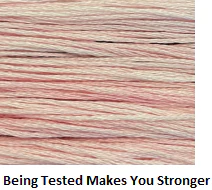 Forbidden Fiber Company Embroidery Threads - Red / Pink - Image 20